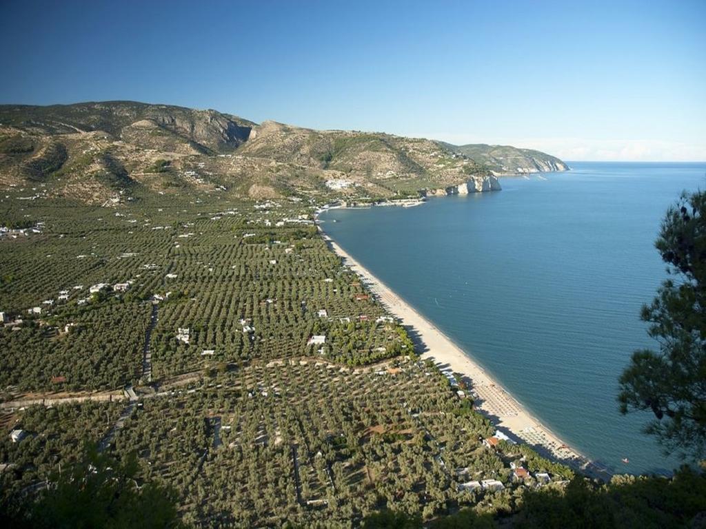 Hotel Alba Del Gargano Маттіната Екстер'єр фото